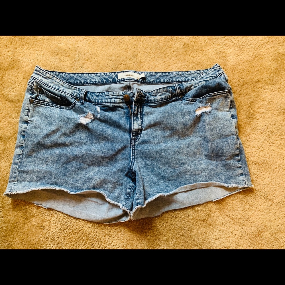 Torrid distressed shorts